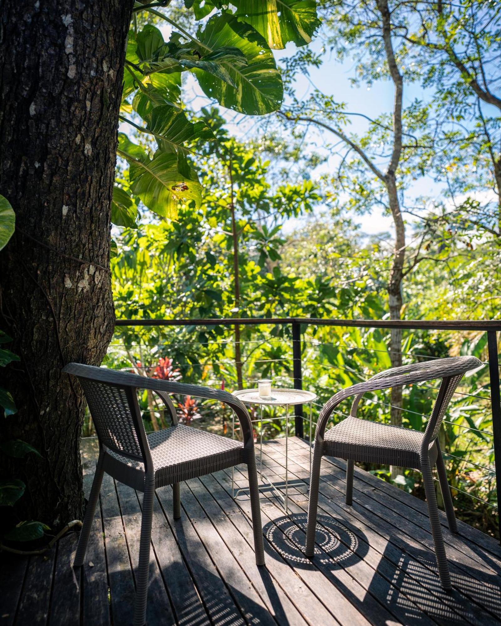 Feeling Trees Jungle Lodge Cabuya  Exteriér fotografie