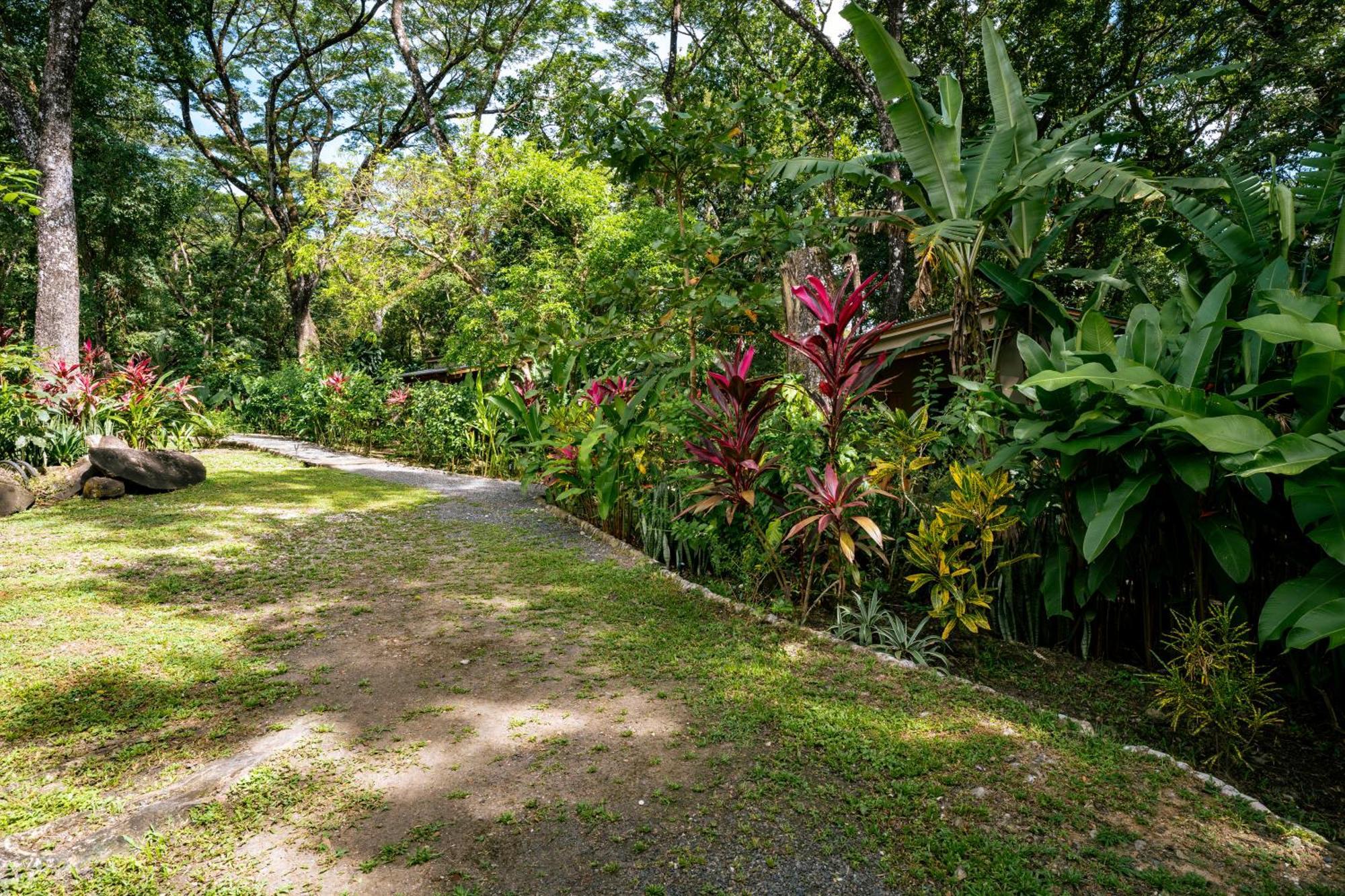 Feeling Trees Jungle Lodge Cabuya  Exteriér fotografie