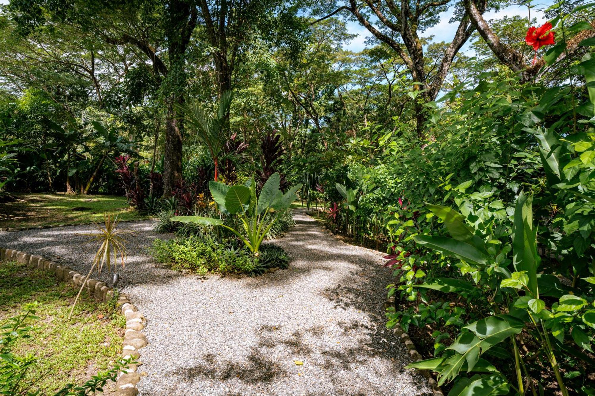 Feeling Trees Jungle Lodge Cabuya  Exteriér fotografie