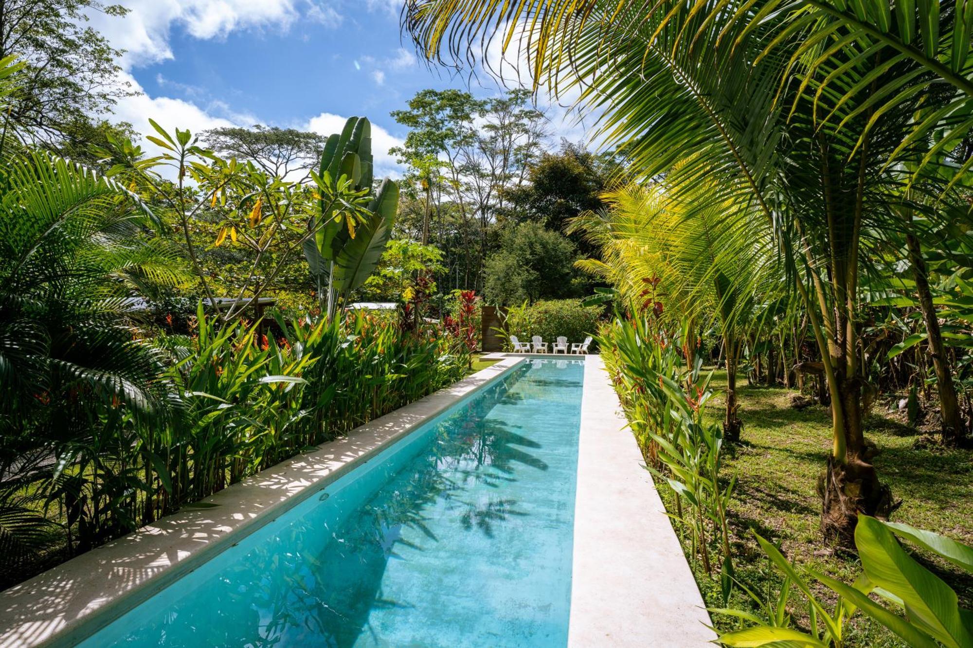 Feeling Trees Jungle Lodge Cabuya  Exteriér fotografie