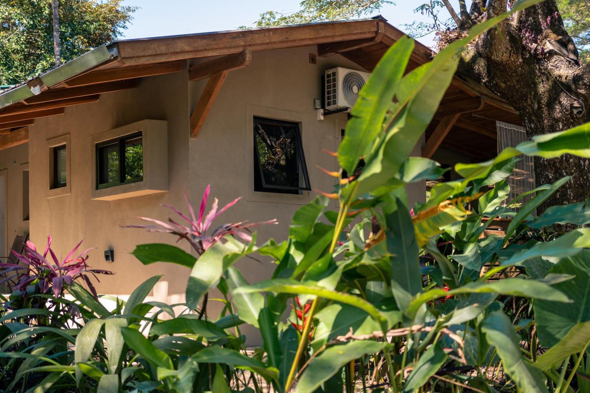 Feeling Trees Jungle Lodge Cabuya  Exteriér fotografie