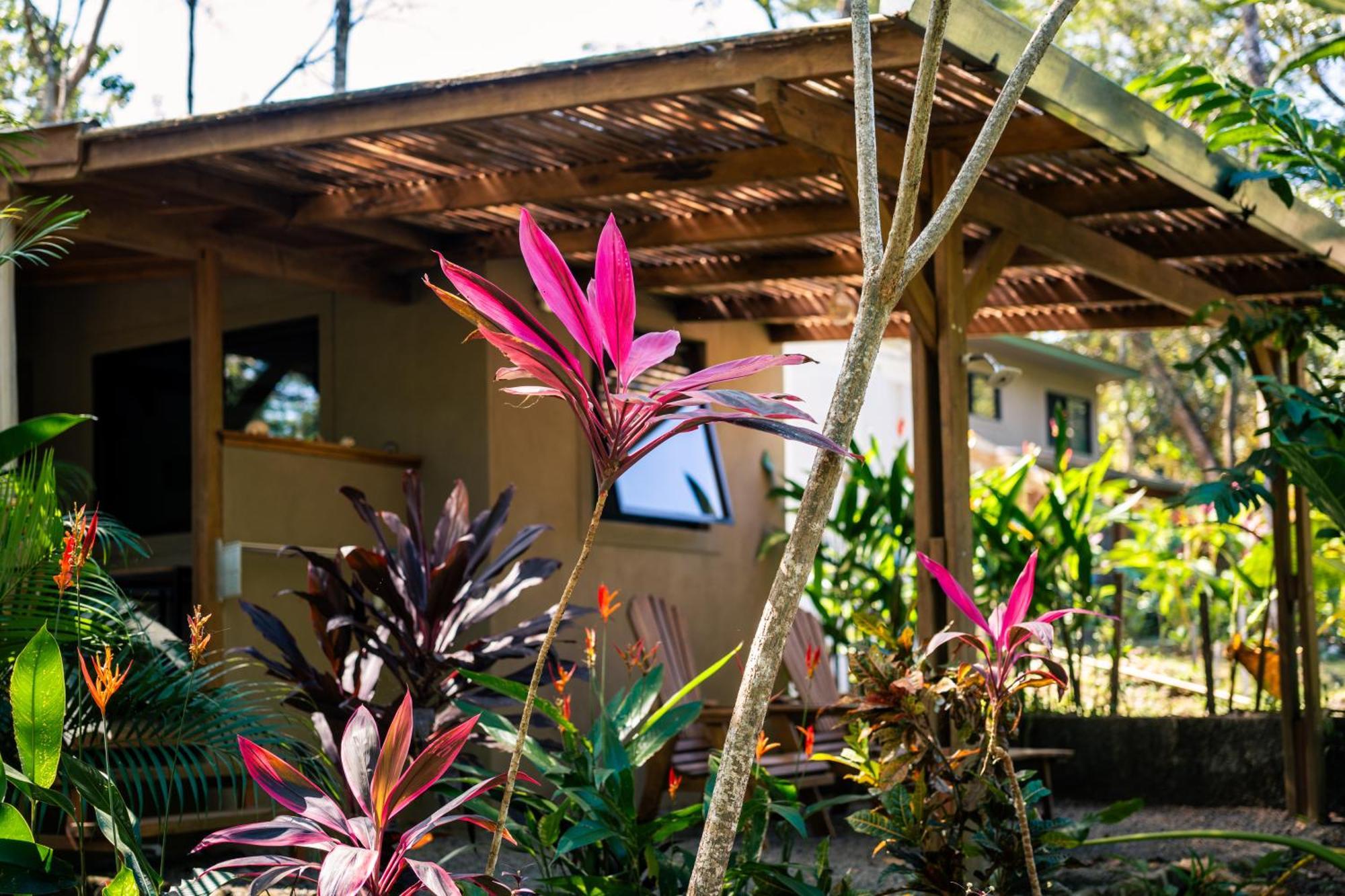 Feeling Trees Jungle Lodge Cabuya  Exteriér fotografie