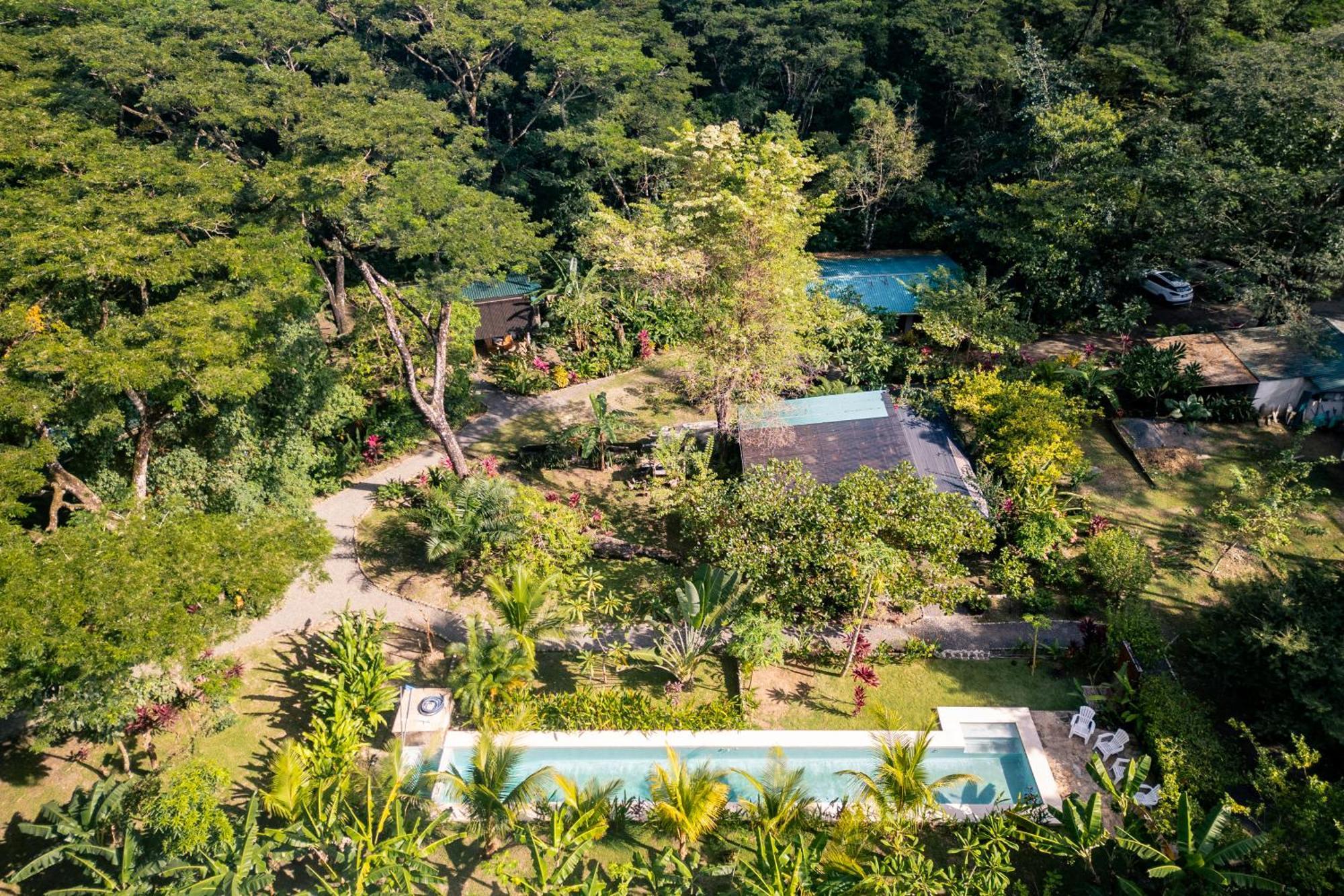 Feeling Trees Jungle Lodge Cabuya  Exteriér fotografie