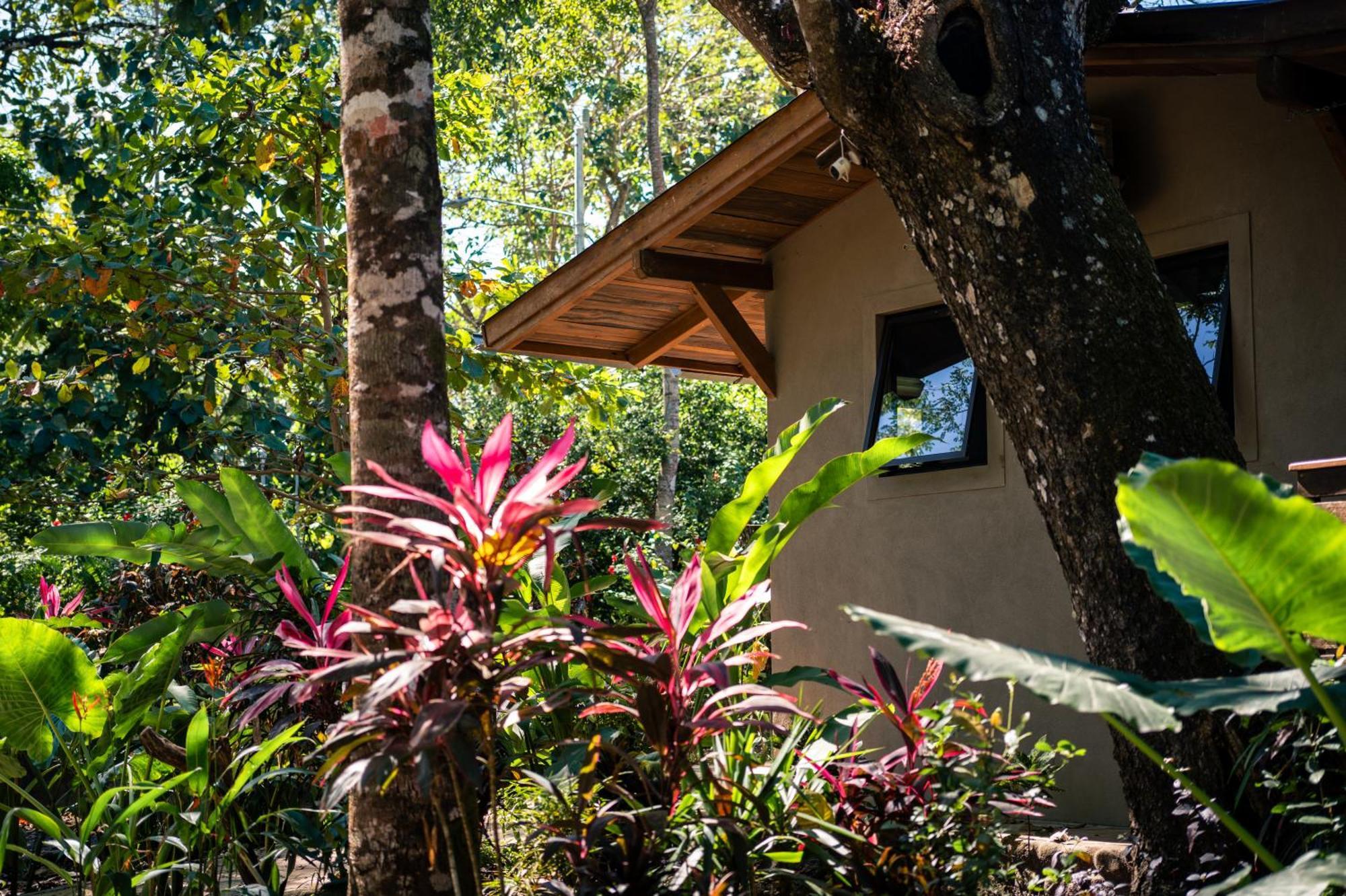 Feeling Trees Jungle Lodge Cabuya  Exteriér fotografie