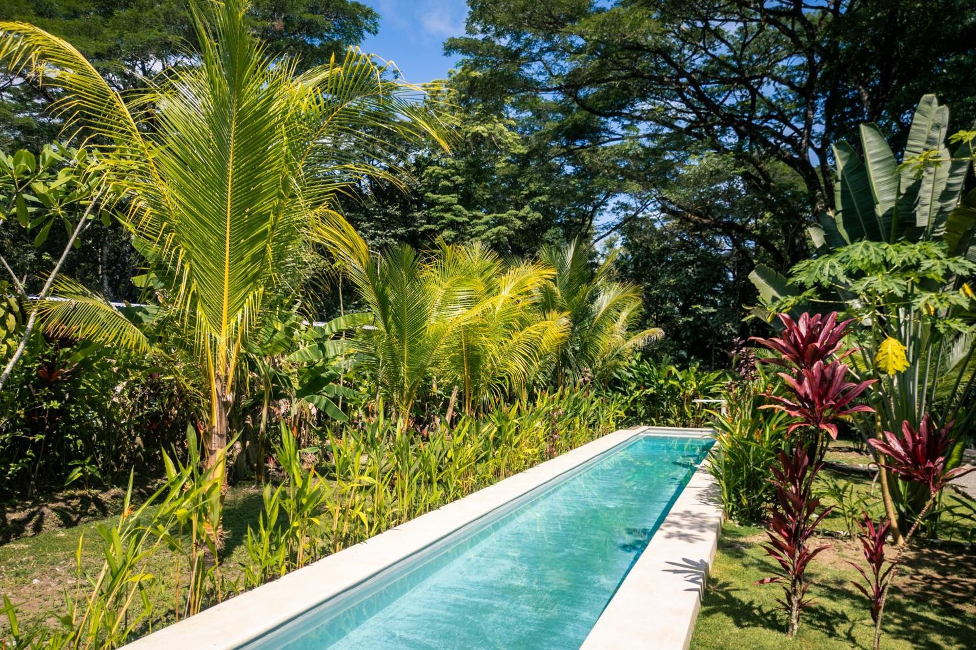Feeling Trees Jungle Lodge Cabuya  Exteriér fotografie